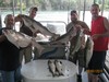 (08/02/2015) - Nice Striped Bass